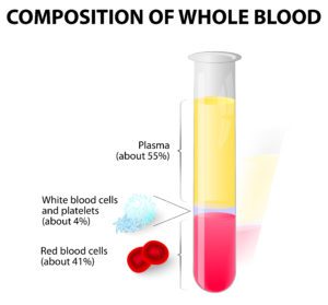 Composition of whole blood. blood plasma and formed elements in test tube. Hematocrit. Red blood cells (erythrocytes), white cells (lymphocyte) and platelets (thrombocytes)