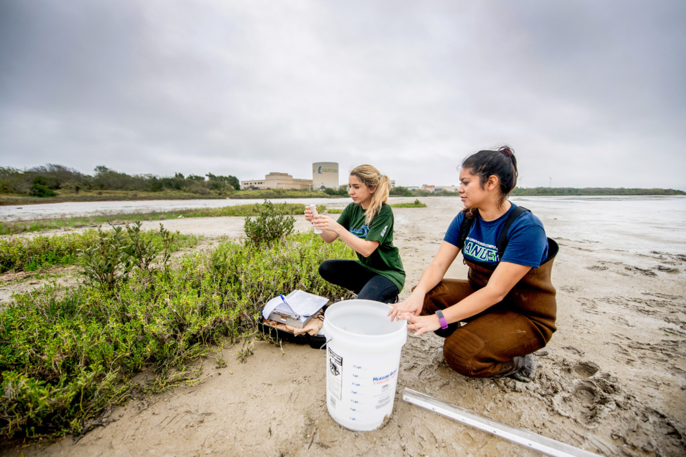 Texas A&M University-Corpus Christi